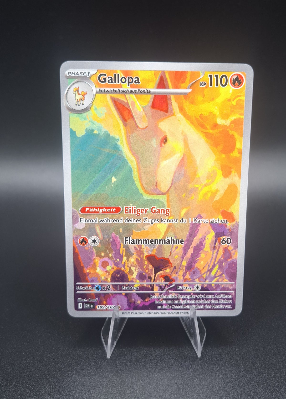 Gallopa (DRI 189)-Deutsch