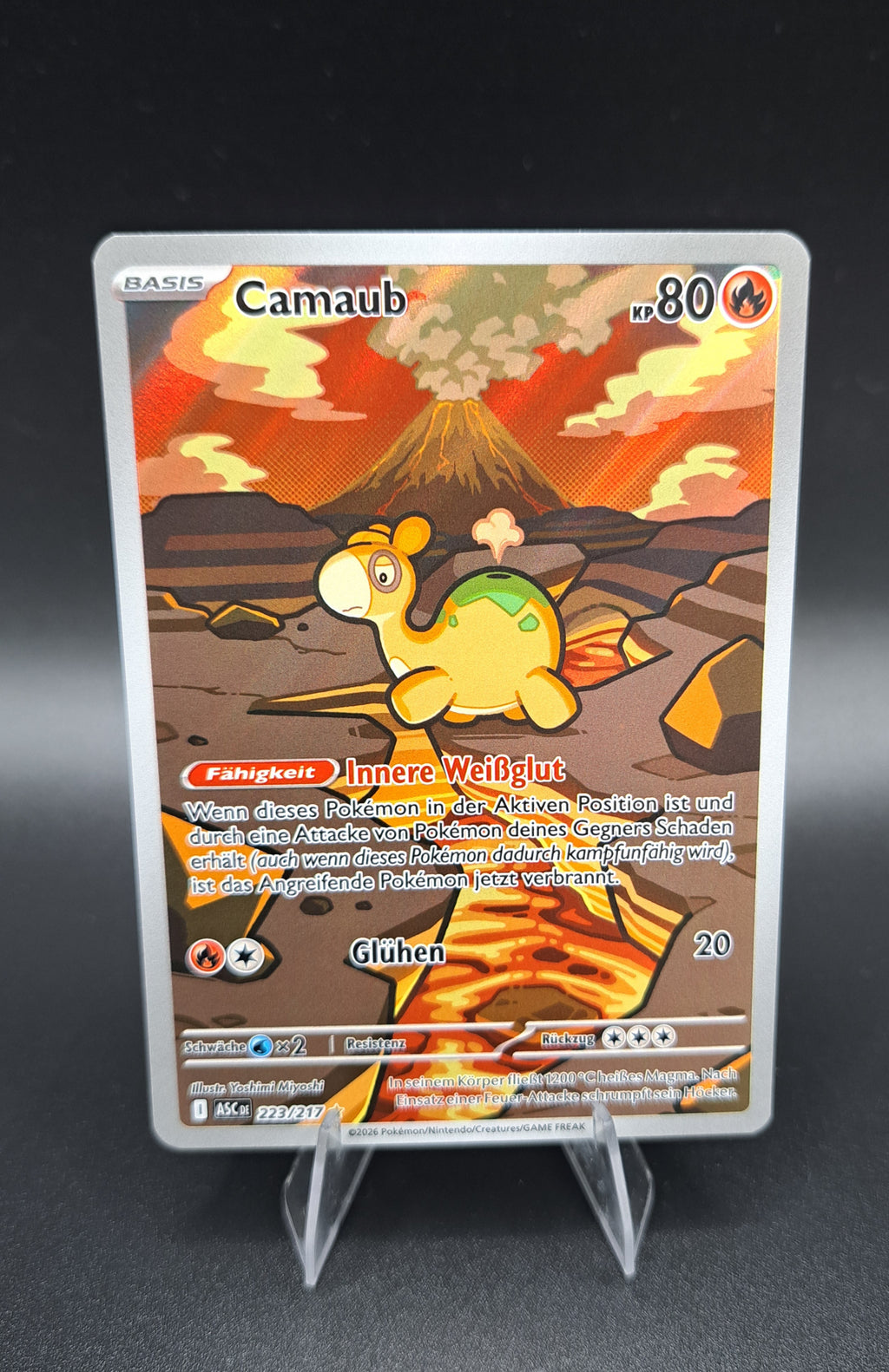 Camaub (ASC 223)-Deutsch