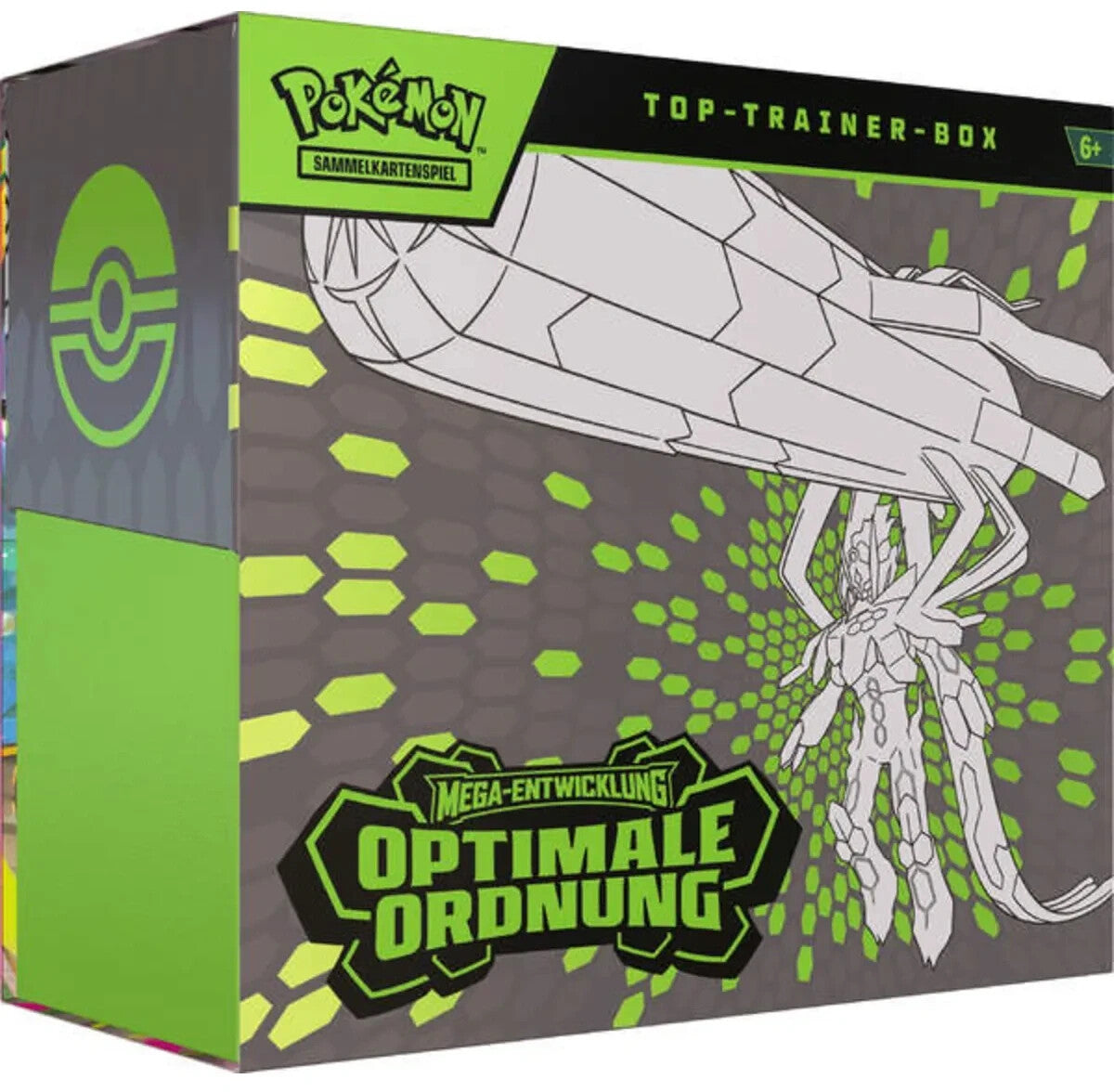 Optimale Ordnung Top-Trainer-Box-Deutsch